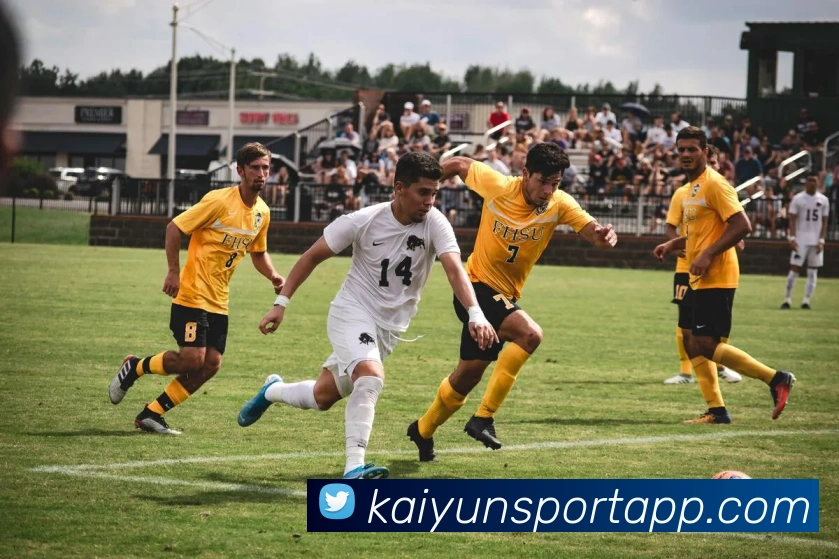 开云体育发展历程